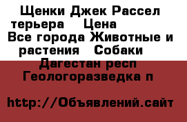 Щенки Джек Рассел терьера  › Цена ­ 15 000 - Все города Животные и растения » Собаки   . Дагестан респ.,Геологоразведка п.